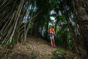 BIB: 
                            <button type="button" onclick="openModal(19395697)" class="btn btn-primary btn-sm float-right btn-popup" data-toggle="modal" data-target=".modal-high-quality">
                        <i class="fas fa-shopping-cart"></i> Add to Cart
                    </button>
                                            <button type="button" onclick="isThisMe(19395697, true)" class="btn btn-success btn-sm float-right btn-popup btn-isme hidden" data-toggle="tooltip" data-placement="bottom" title="นี่คือรูปของคุณใช่ไหม คลิกที่นี่เพื่อเอาเข้าอัลบั้ม">
                        <i class="fas fa-plus"></i> Add to album
                    </button>
                    <button type="button" onclick="isThisMe(19395697, false)" class="btn btn-warning btn-sm float-right btn-popup btn-isnotme hidden">
                        <i class="fas fa-ban"></i> Remove from album
                    </button>